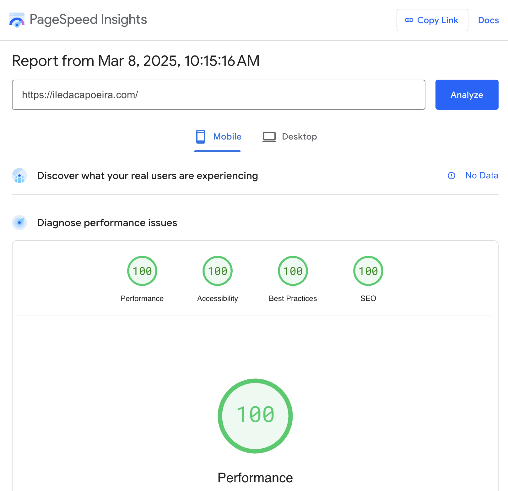 Google PageSpeed Insights report showing a perfect 100 score